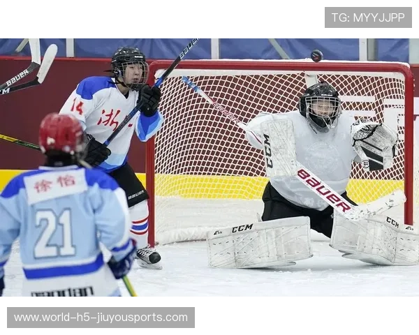 冰球门将与后防合作创造零封神话