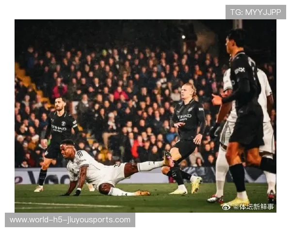 哈兰德轻松刷新英超百球纪录，曼城需谨慎使用，哈兰德十佳球