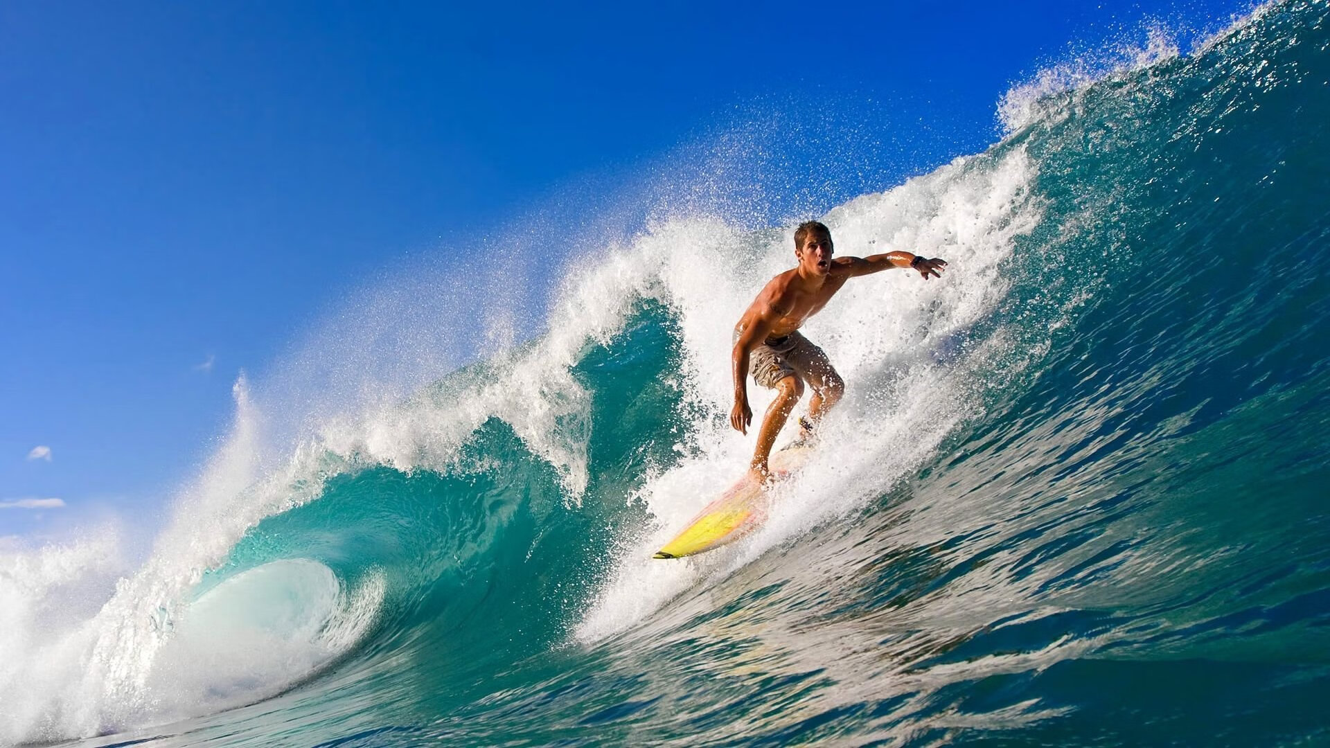 体育新闻中心特别快讯播报，体育新闻最新快报